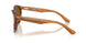 679183 - Brown - Dark Brown Polarized