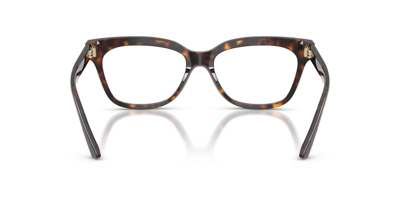 5002 - Tortoise
