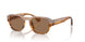 003/83 - Brown - Polar Brown
