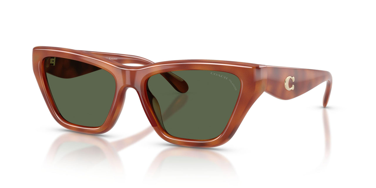 57749A - Tortoise - Green Solid Polarized