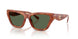 57749A - Tortoise - Green Solid Polarized