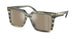Michael Kors Abruzzo 2217U Sunglasses