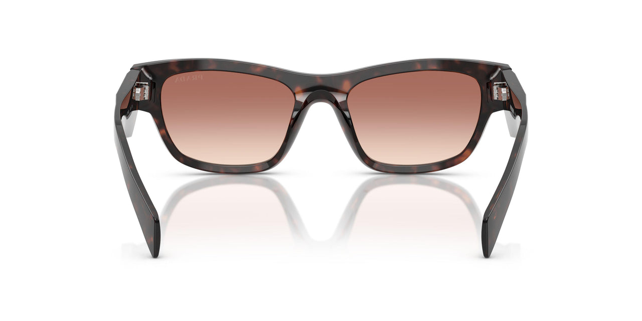 17N50L - Tortoise - Light Brown Gradient Bordeaux