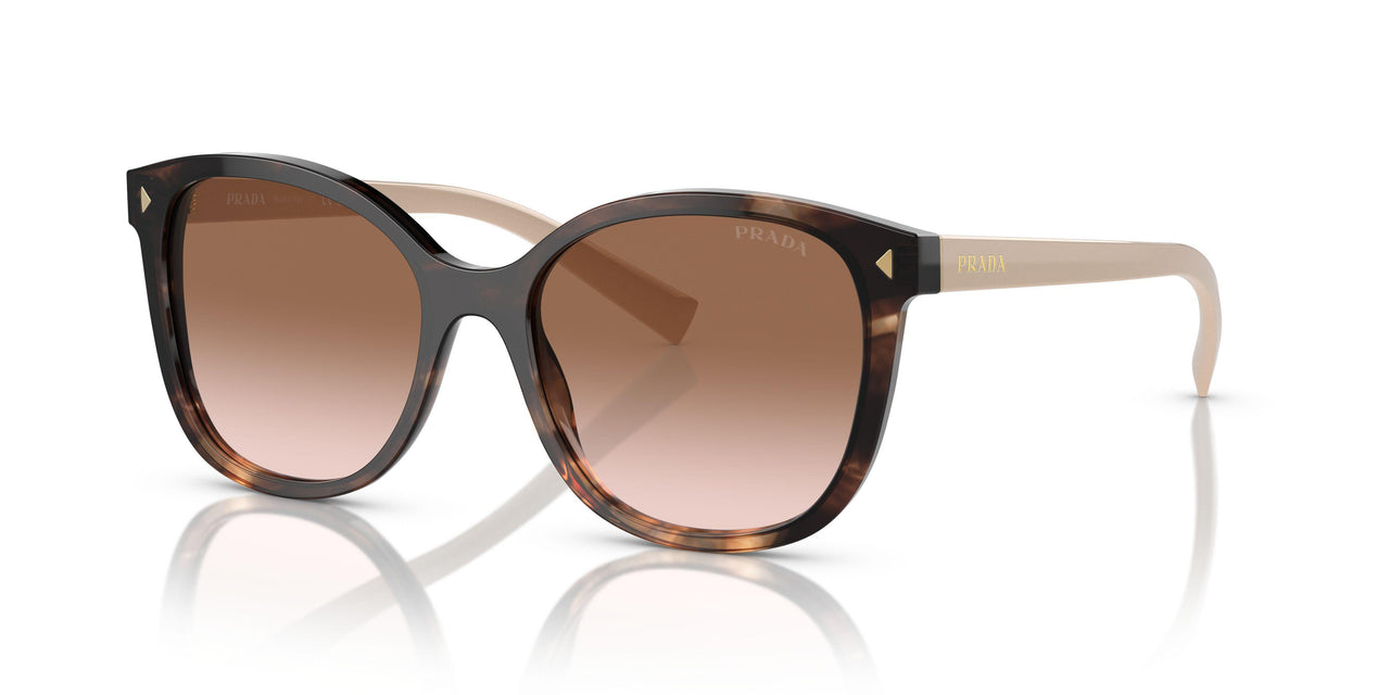 07R0A6 - Tortoise - Brown Gradient