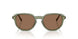 318773 - Green - Dark Brown