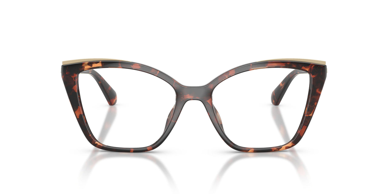 4031 - Tortoise