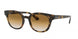 Ray-Ban 4324F Sunglasses