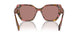 18N10D - Brown - Light Brown