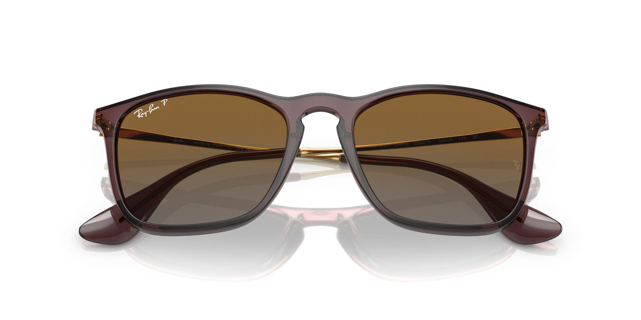 6593T5 - Brown - Grey Gradient Brown Polar