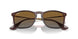 6593T5 - Brown - Grey Gradient Brown Polar