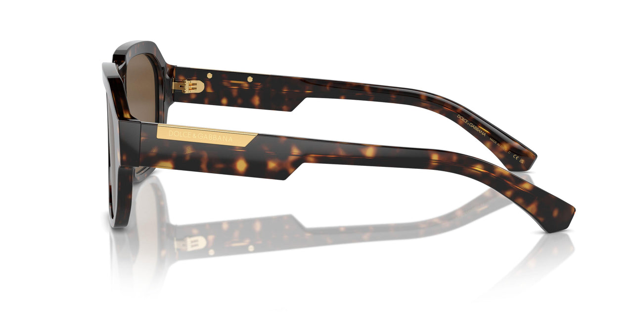 502/73 - Tortoise - Dark Brown