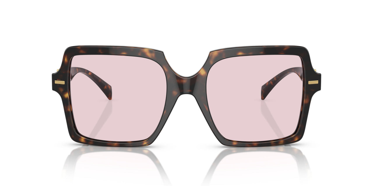108/P5 - Tortoise - Photo Pink