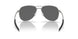 605003 - Silver - Prizm Black Polarized