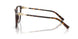 8015 - Tortoise