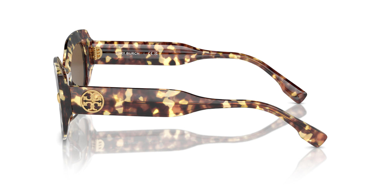 199573 - Tortoise - Dark Brown