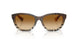 420213 - Brown - Brown Gradient