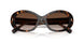172813 - Tortoise - Brown Gradient