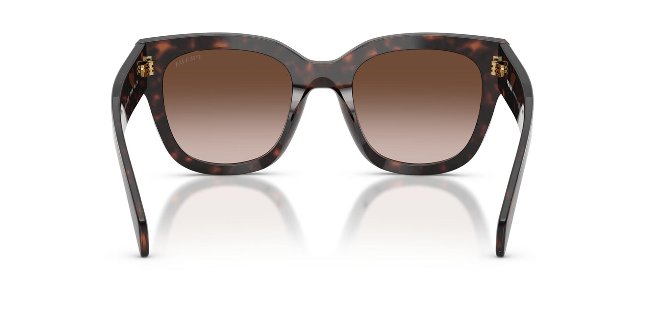 17N80A - Tortoise - Brown Gradient