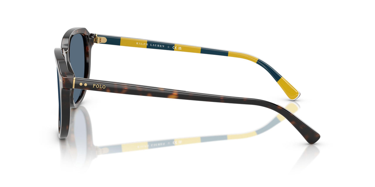 500380 - Tortoise - Dark Blue