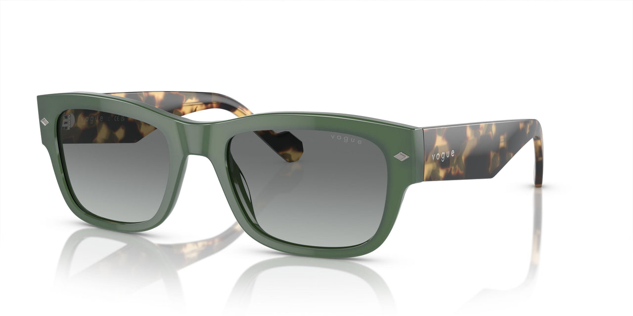 309211 - Green - Grey Gradient