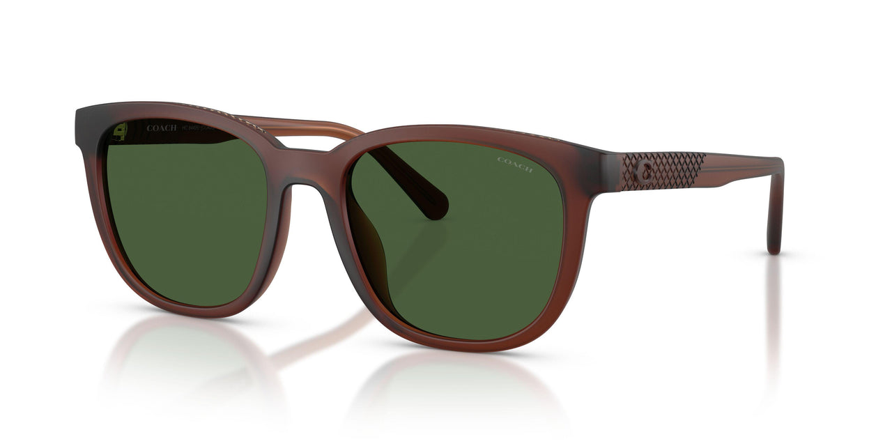 591171 - Brown - Green Solid
