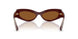 505773 - Red - Dark Brown