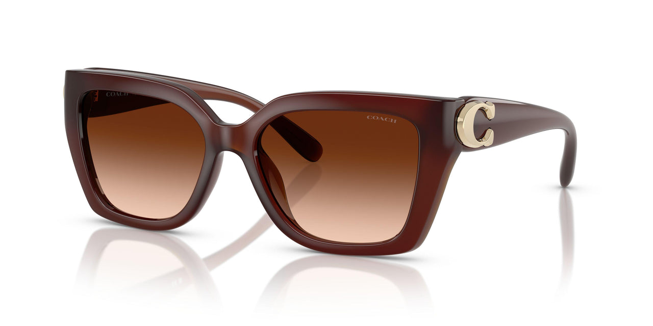 584174 - Brown - Brown Gradient
