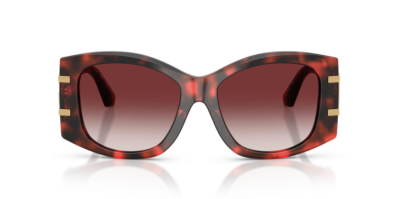 33588H - Tortoise - Clear Gradient Dark Brandy