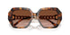 39043B - Tortoise - Brown Gradient