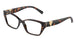 8015 - Tortoise