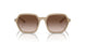 834213 - Brown - Gradient Brown