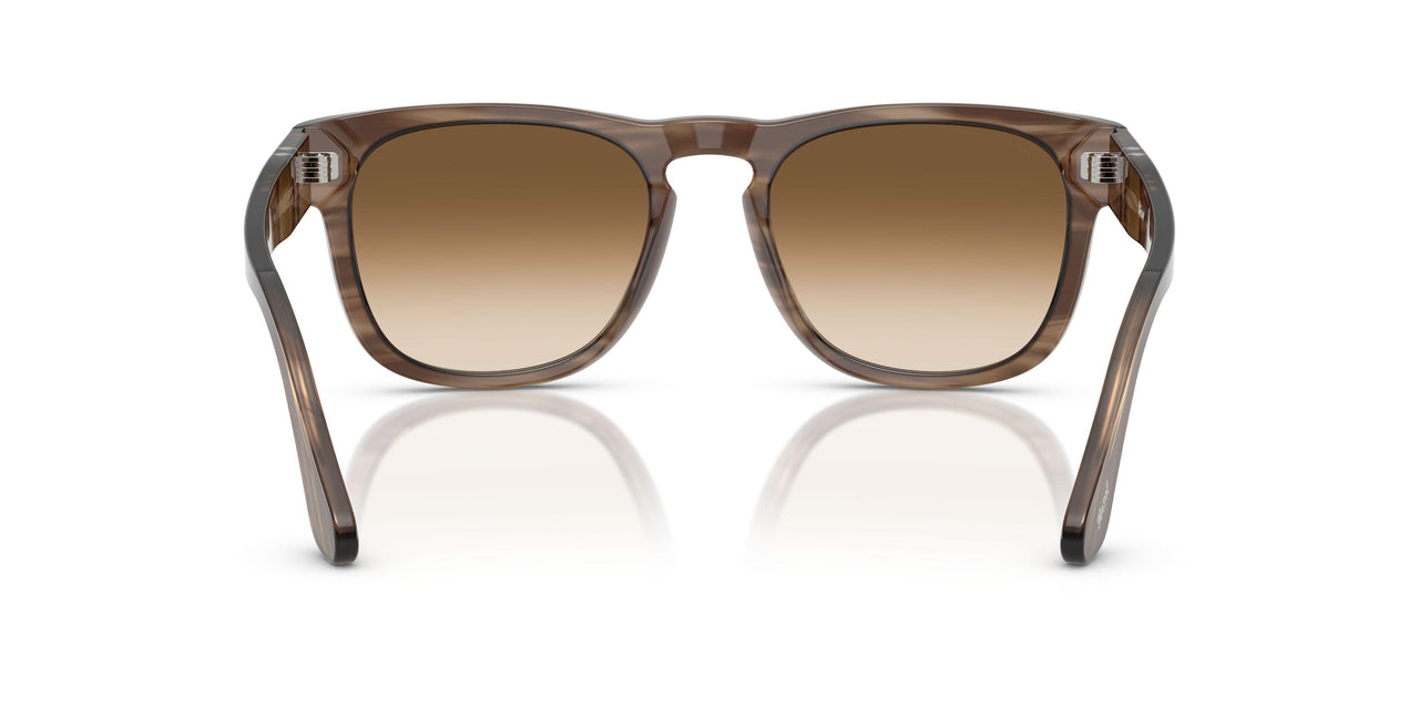 120851 - Tortoise - Gradient Brown