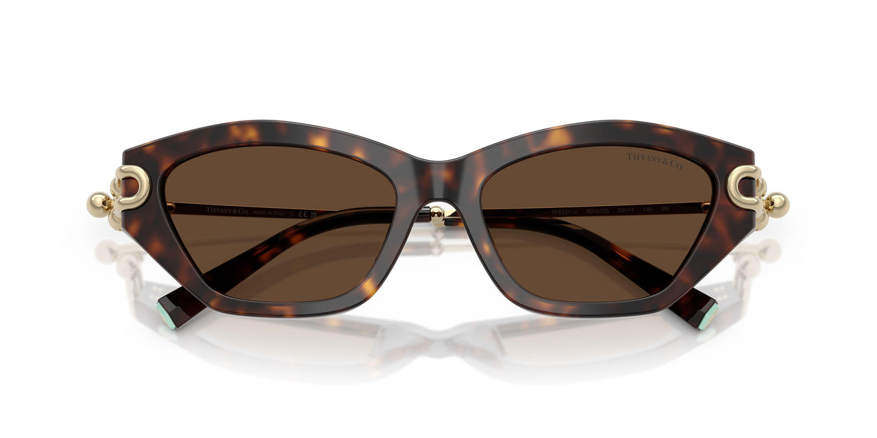 80153G - Tortoise - Light Brown