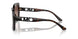 300613 - Tortoise - Brown Gradient