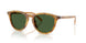 618571 - Tortoise - Bottle Green