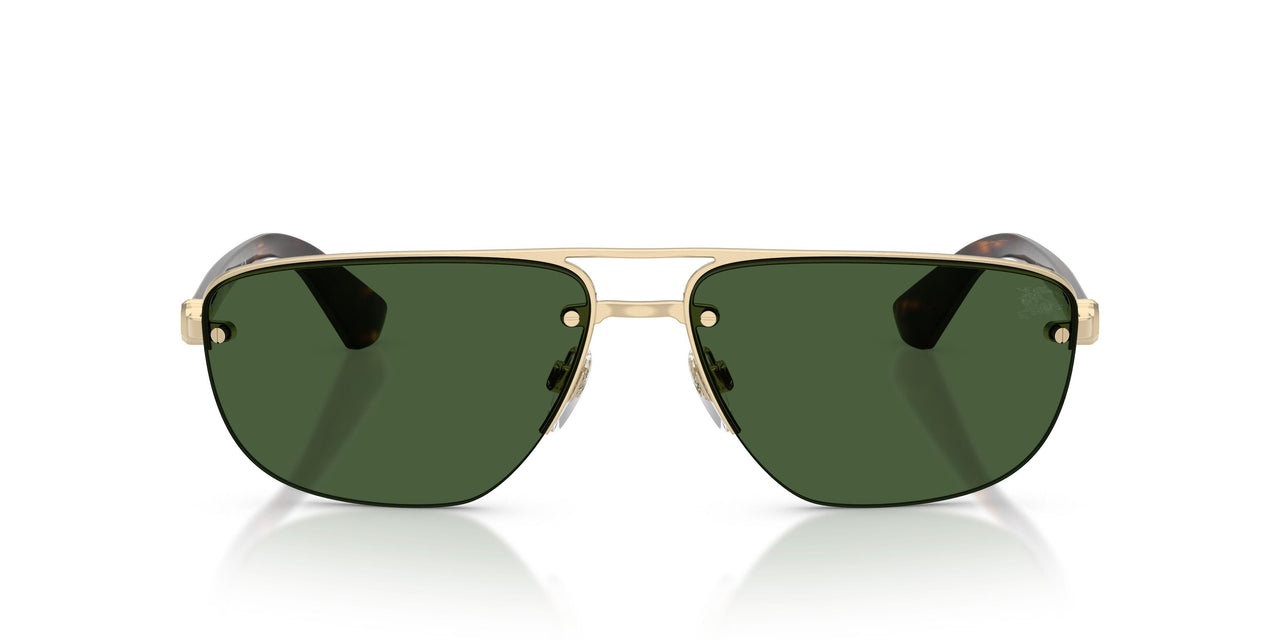 110971 - Gold - Dark Green