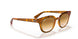 647551 - Yellow Light Havana - Clear Gradient Brown
