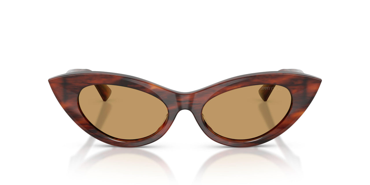 511273 - Tortoise - Brown