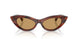 511273 - Tortoise - Brown