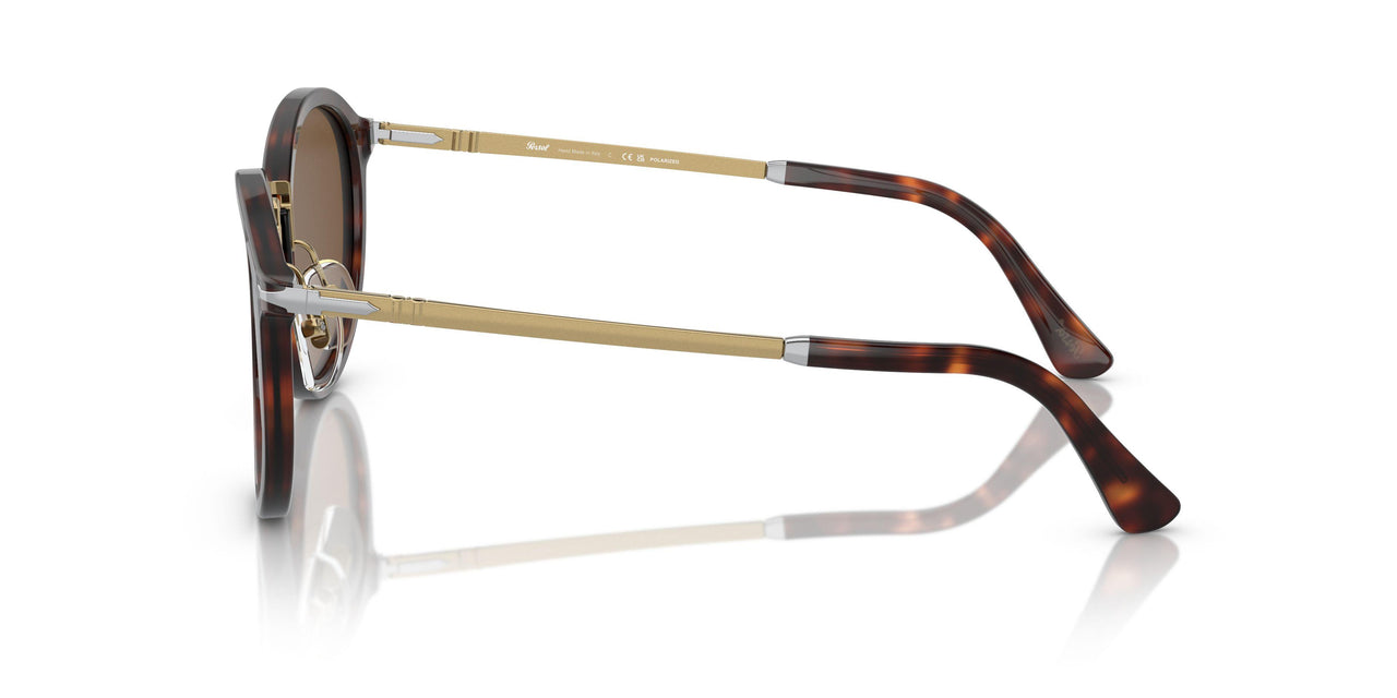 24/57 - Tortoise - Polar Brown