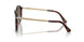 24/57 - Tortoise - Polar Brown