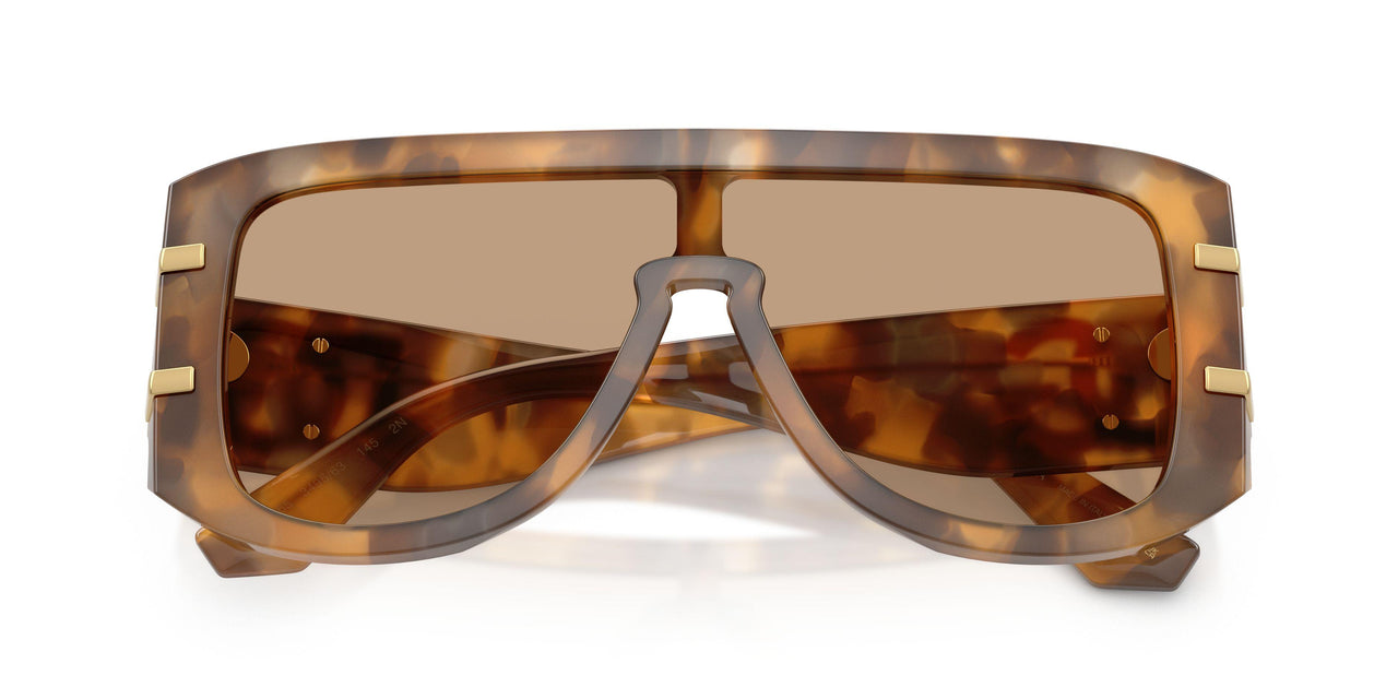 349663 - Tortoise - Light Brown