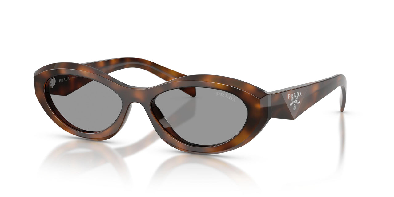 20D50Q - Havana - Grey