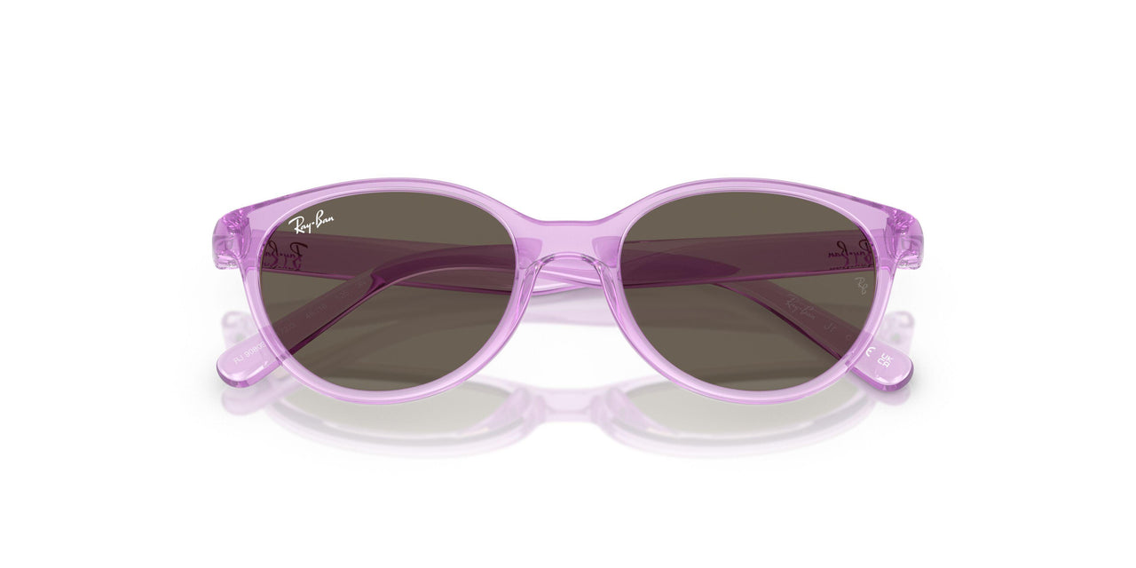 7172/3 - Violet - Brown