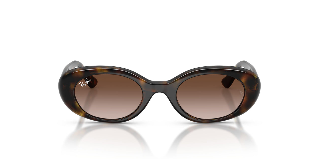 152/13 - Tortoise - Gradient Brown