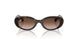 152/13 - Tortoise - Gradient Brown
