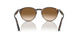 115851 - Havana - Clear Gradient Brown