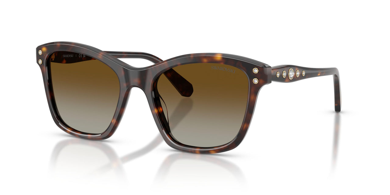 1002T5 - Tortoise - Polar Brown Gradient
