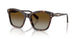 1002T5 - Tortoise - Polar Brown Gradient