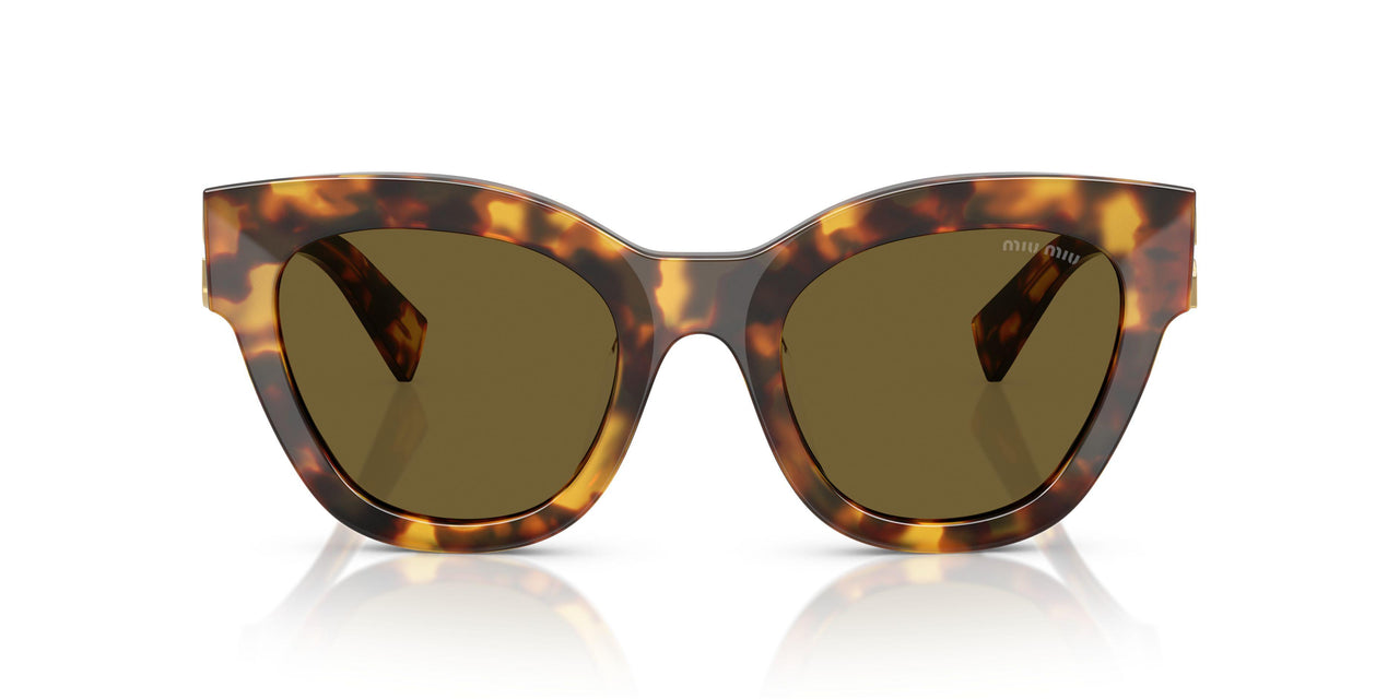 14L09Z - Tortoise - Dark Brown